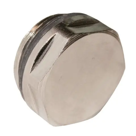 Beställ idag Z 19083901 Radiatorpropp